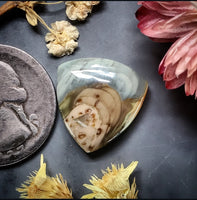 Imperial Jasper Trillion Cabochon