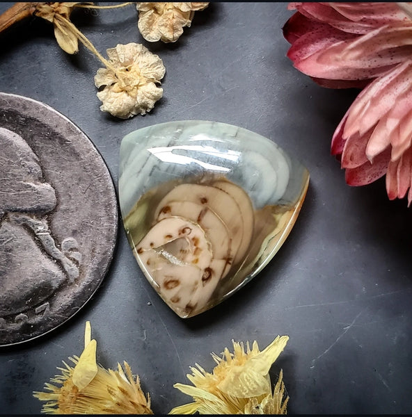 Imperial Jasper Trillion Cabochon