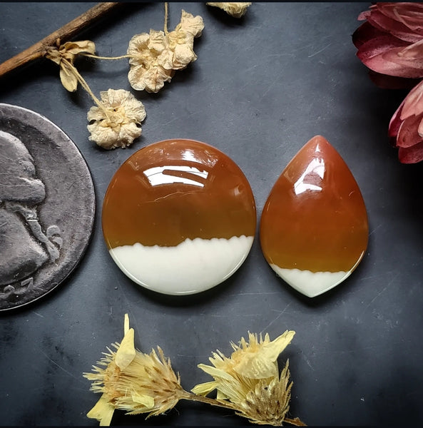 Imperial Jasper Petal Round Set Cabochon
