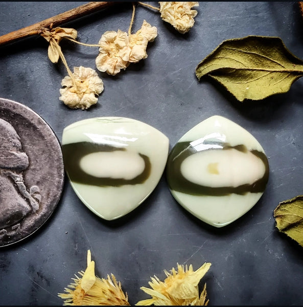 Imperial Jasper Marquise Trillion Set Cabochon