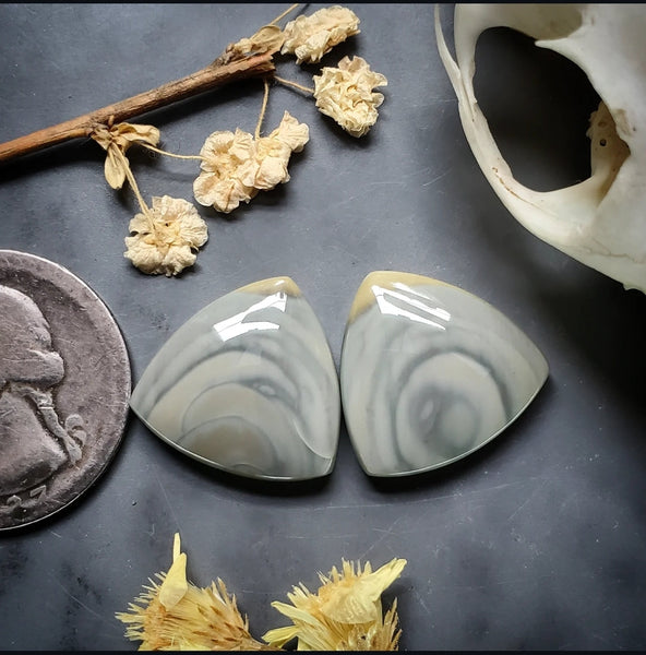 Imperial Jasper Trillion Earring Pair Cabochon