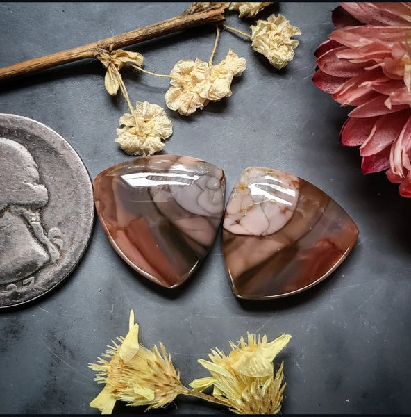 Imperial Jasper Trillion Earring Pair Cabochon