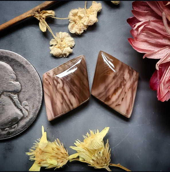 Imperial Jasper Kite Earring Pair Cabochon