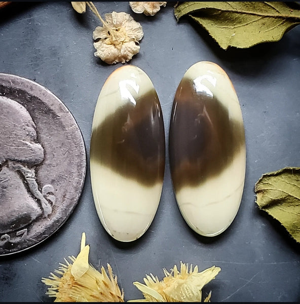 Imperial Jasper Oval Earring Pair Cabochon
