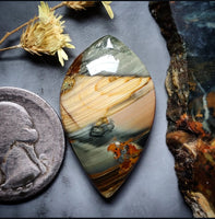 Blue Mountain Jasper Drop Cabochon