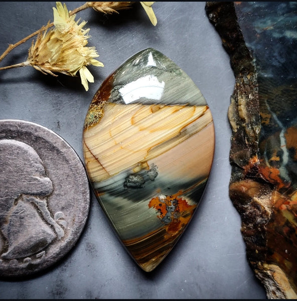 Blue Mountain Jasper Drop Cabochon