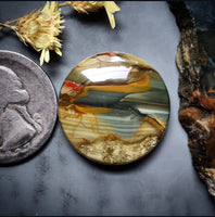 Blue Mountain Jasper Round Cabochon