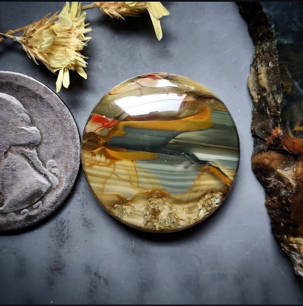 Blue Mountain Jasper Round Cabochon