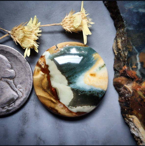 Blue Mountain Jasper Round Cabochon