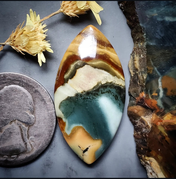 Blue Mountain Jasper Marquise Cabochon