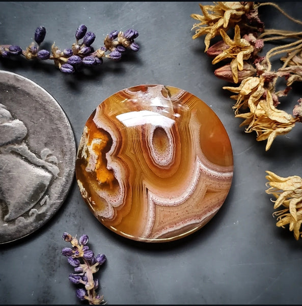 Agua Nueva Agate Round Cabochon