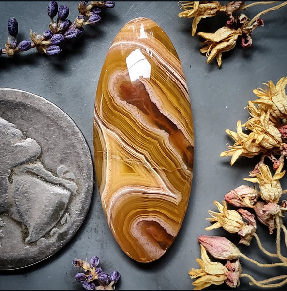 Agua Nueva Agate Oval Cabochon
