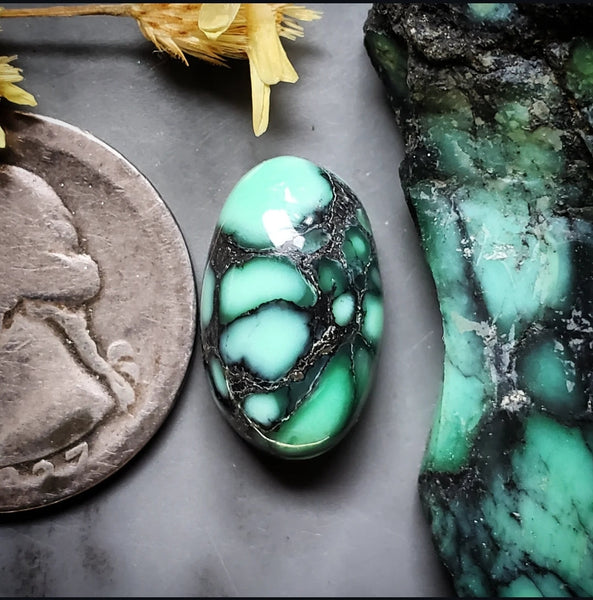 Desert Oasis Varisicite Oval Cabochon