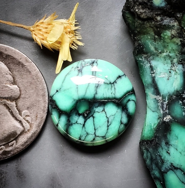 Desert Oasis Varisicite Round Cabochon