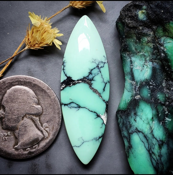 Desert Oasis Varisicite Long Marquise Cabochon