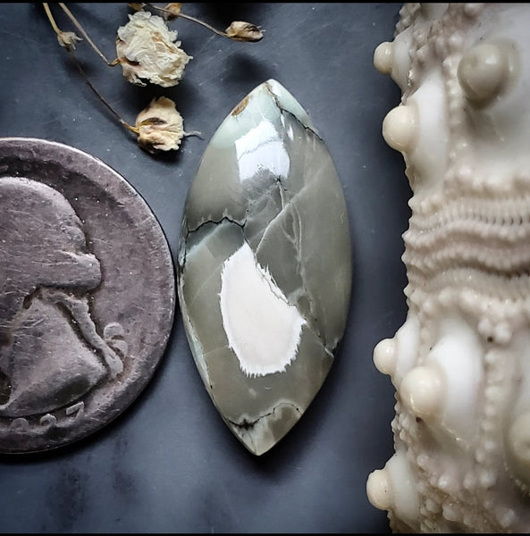 Luna Oscura Marquise Cabochon