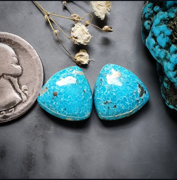 P. Blue Turquoise Trillion Earring Pair Cabochon