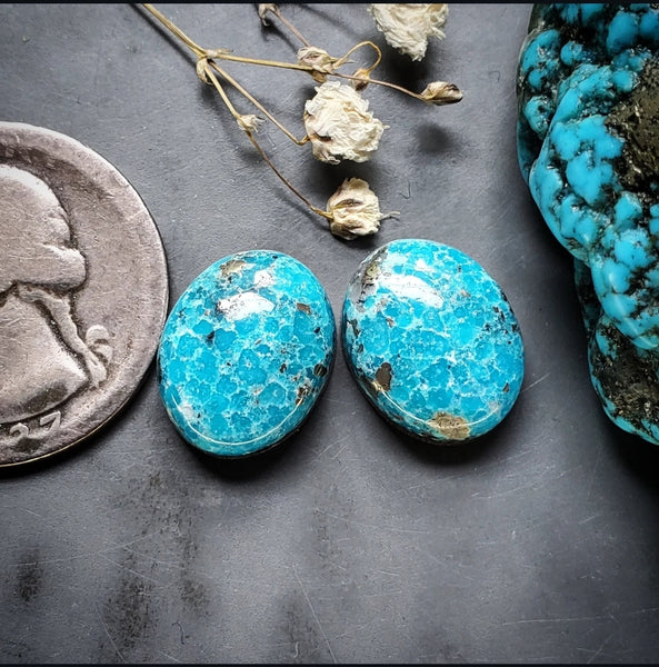 P. Blue Turquoise Oval Earring Pair Cabochon