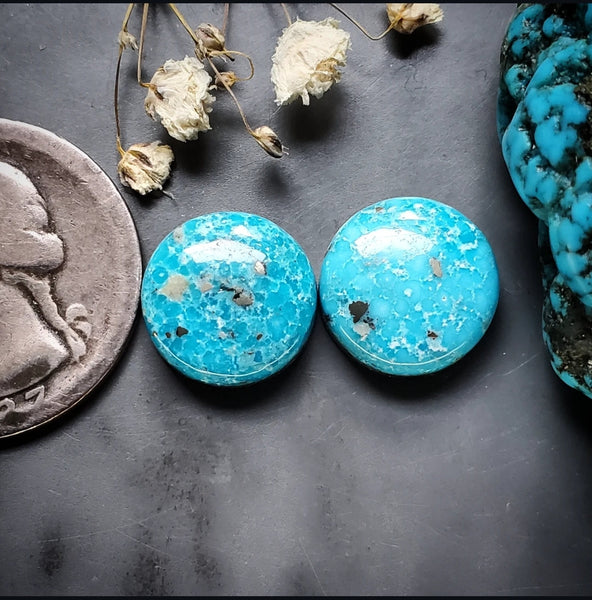 P. Blue Turquoise Round Earring Pair Cabochon