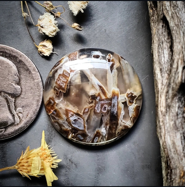 Turkish Stick Agate Round Cabochon