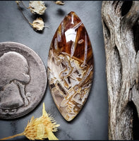 Turkish Stick Agate Marquise Cabochon