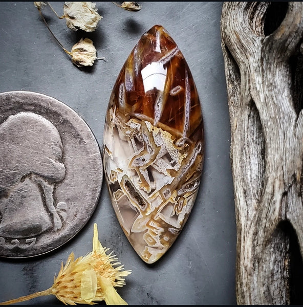 Turkish Stick Agate Marquise Cabochon