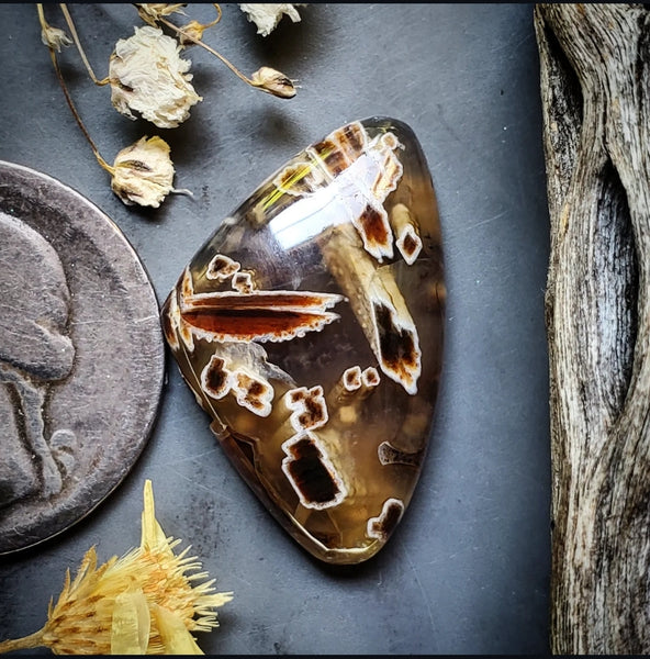 Turkish Stick Agate Freeform Cabochon