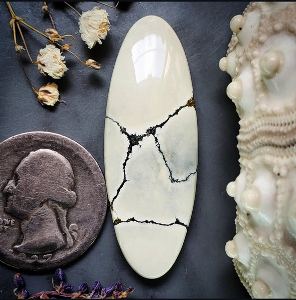 Ivory Creek Variscite Oval Cabochon