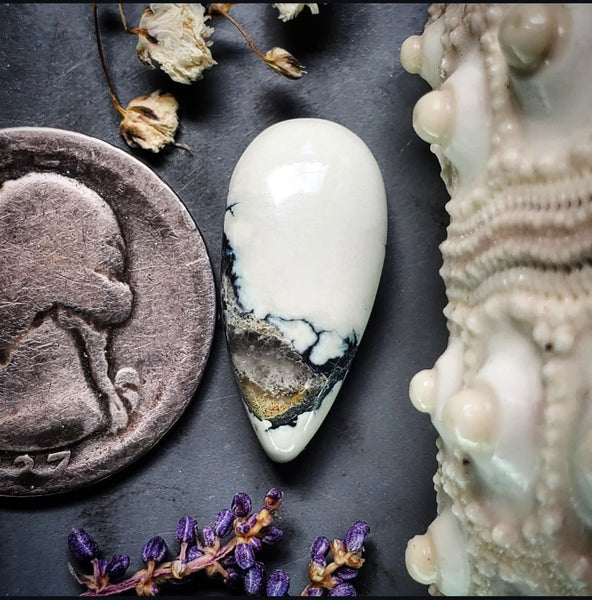 Ivory Creek Variscite Drop Cabochon
