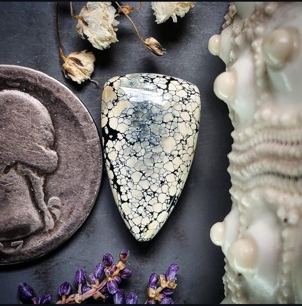 Ivory Creek Variscite Webbed Drop Cabochon