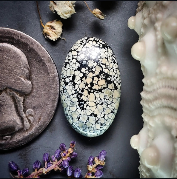 Ivory Creek Variscite Webbed Oval Cabochon
