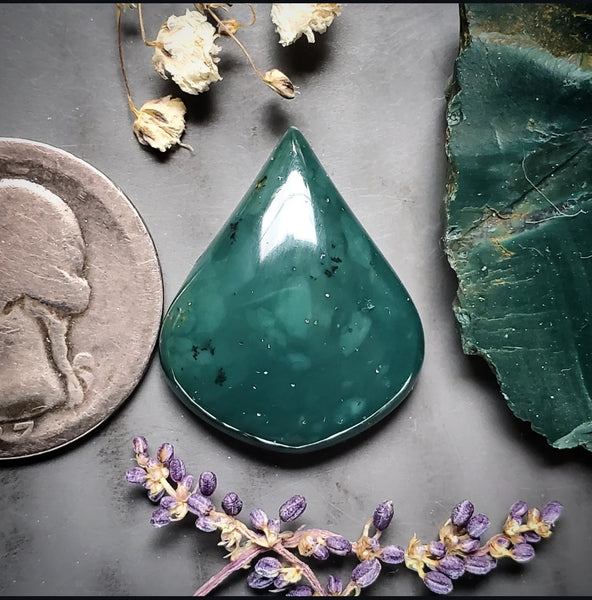 Skaggs Jasper Fancy Drop Cabochon