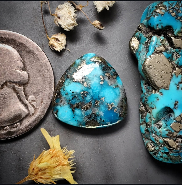 P. Blue Turquoise Trillion Cabochon