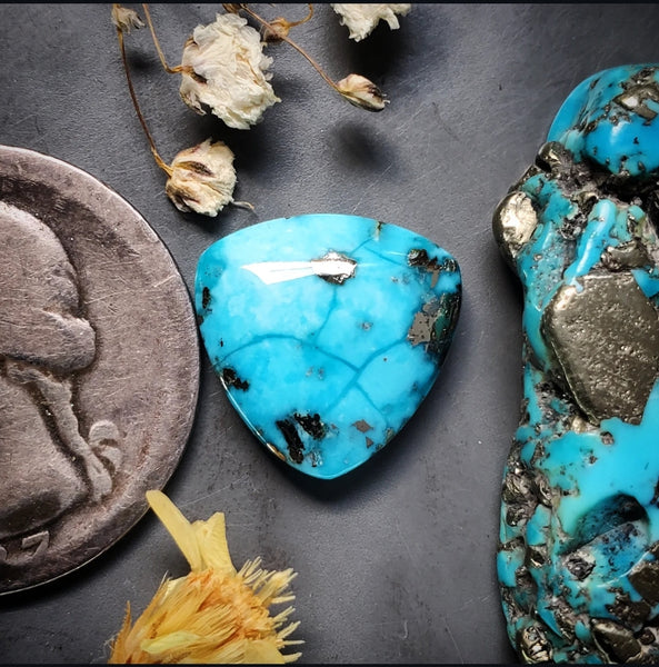 P. Blue Turquoise Trillion Cabochon