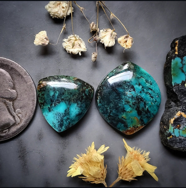 Polychrome Hubei Turquoise Trillion Marquise Set Cabochon