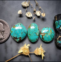 Polychrome Hubei Turquoise Marquise Oval Round Set Cabochon
