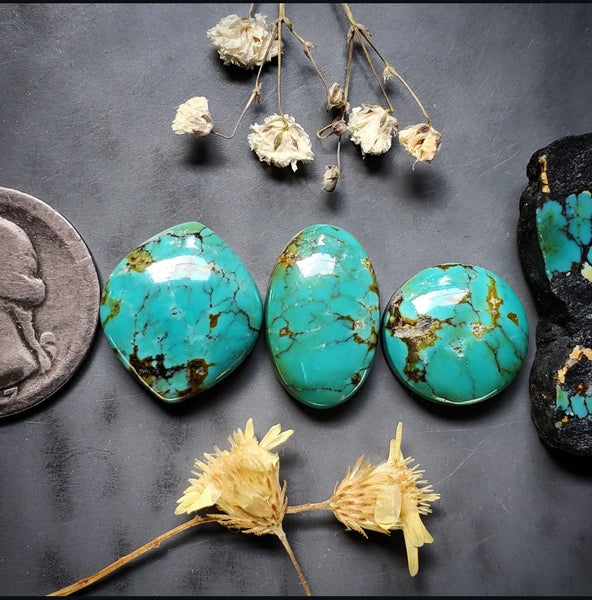 Polychrome Hubei Turquoise Marquise Oval Round Set Cabochon