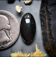 Obsidian Oval Cabochon