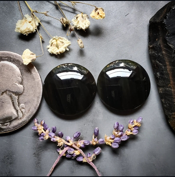 Obsidian Round Earring Pair Cabochon