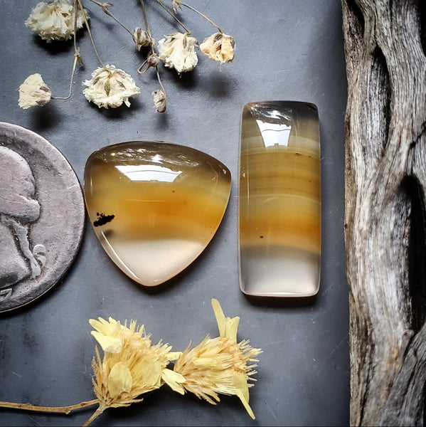 Montana Agate Trillion Bar Set Cabochon
