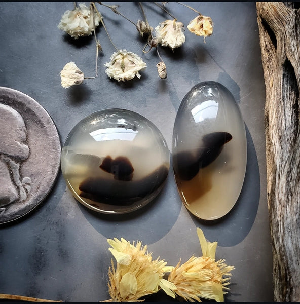 Montana Agate Round Oval Set Cabochon