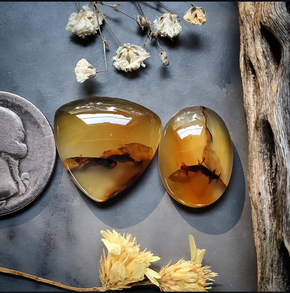 Montana Agate Trillion Oval Set Cabochon