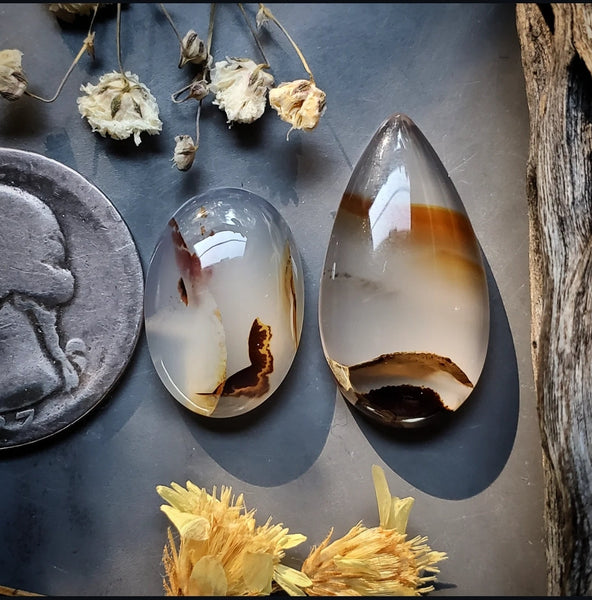 Montana Agate Drop Oval Set Cabochon