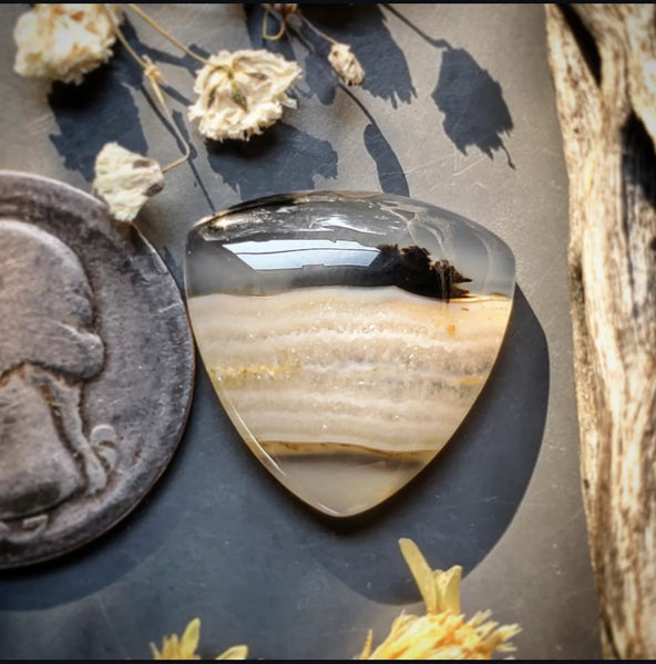 Montana Agate Trillion Cabochon