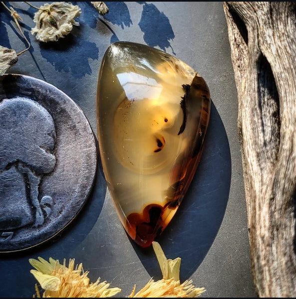 Montana Agate Freeform Cabochon