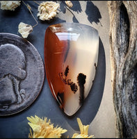 Montana Agate Drop Cabochon