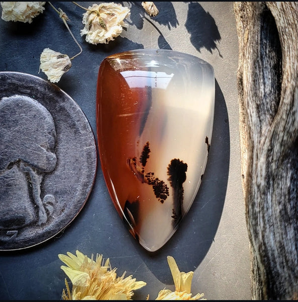 Montana Agate Drop Cabochon
