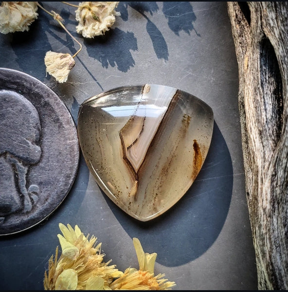 Montana Agate Trillion Cabochon