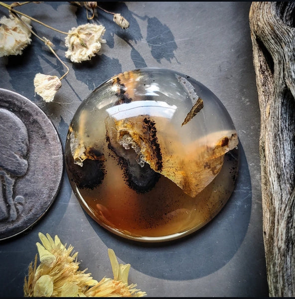 Montana Agate Round Cabochon