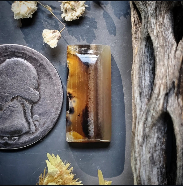 Montana Agate Bar Cabochon